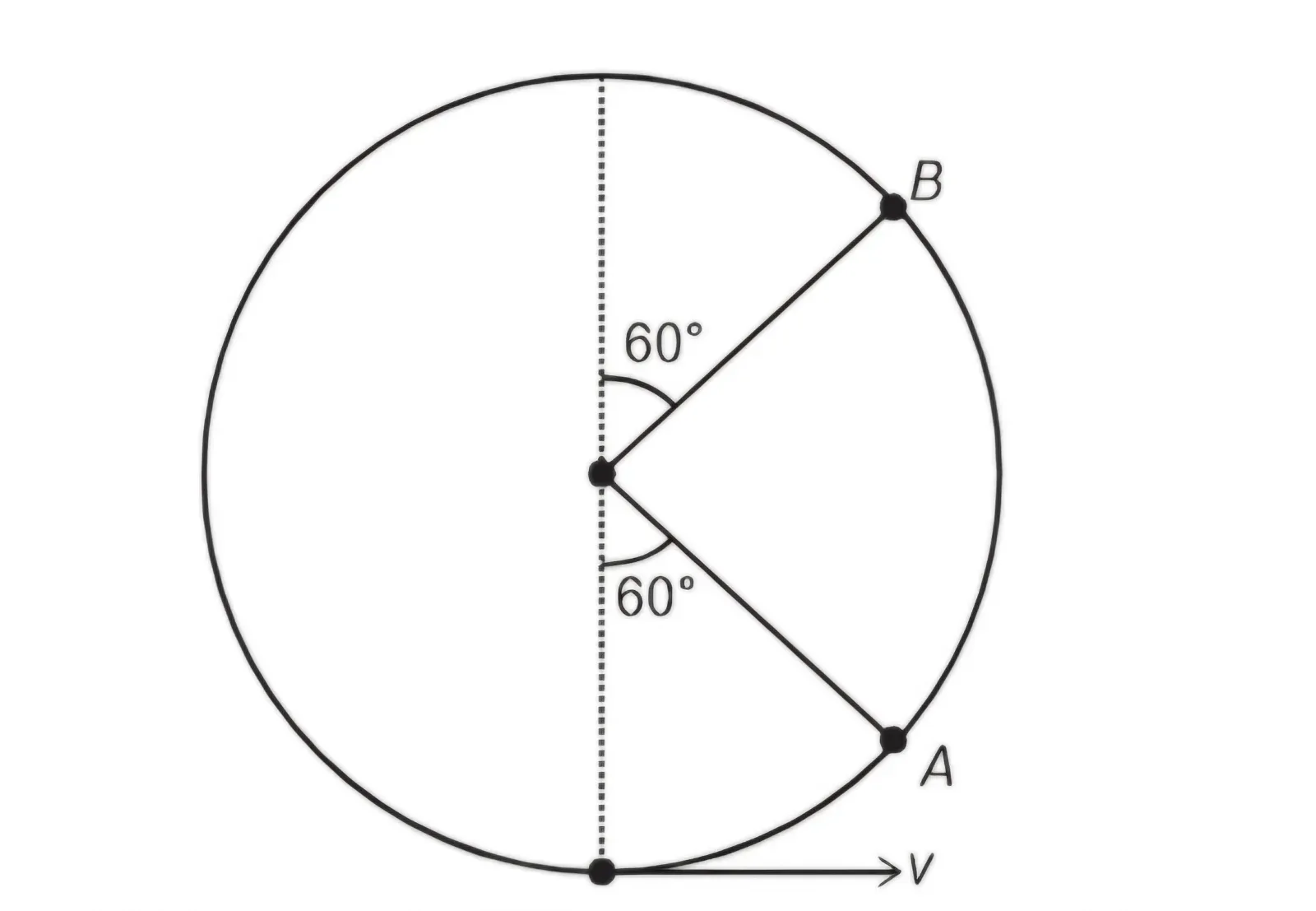 167910-1788065705137.webp