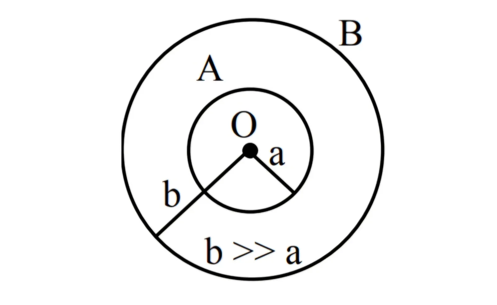 173754-1788846145056.webp