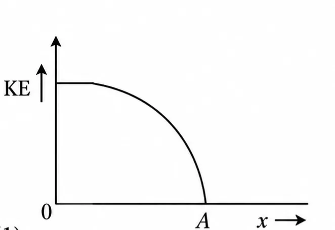 179505-1789618135102.webp