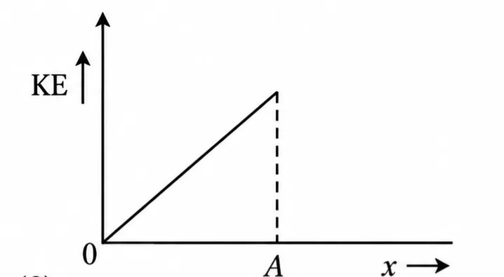 179507-1789618155907.webp