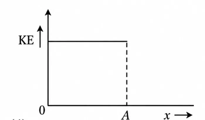 179508-1789618165187.webp