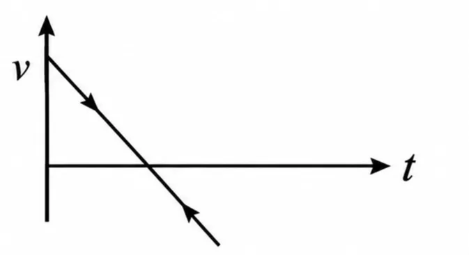186842-1790687896452.webp