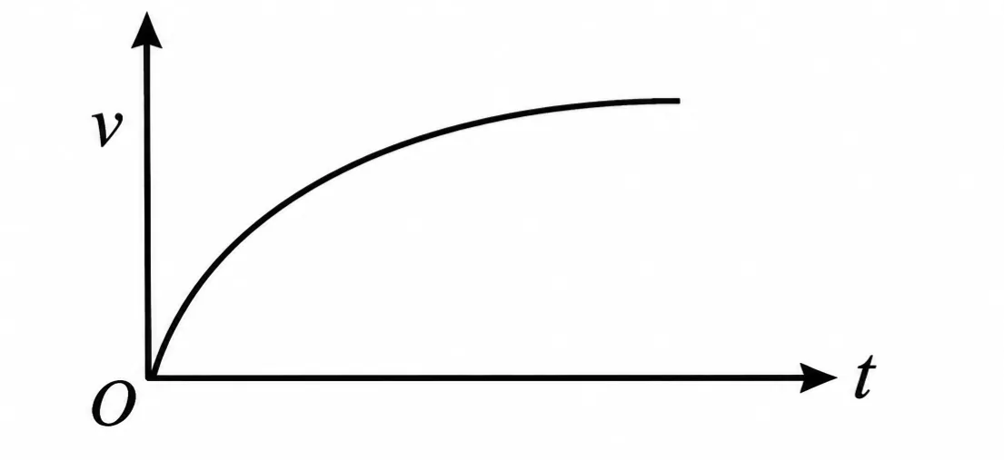 186852-1790689020307.webp