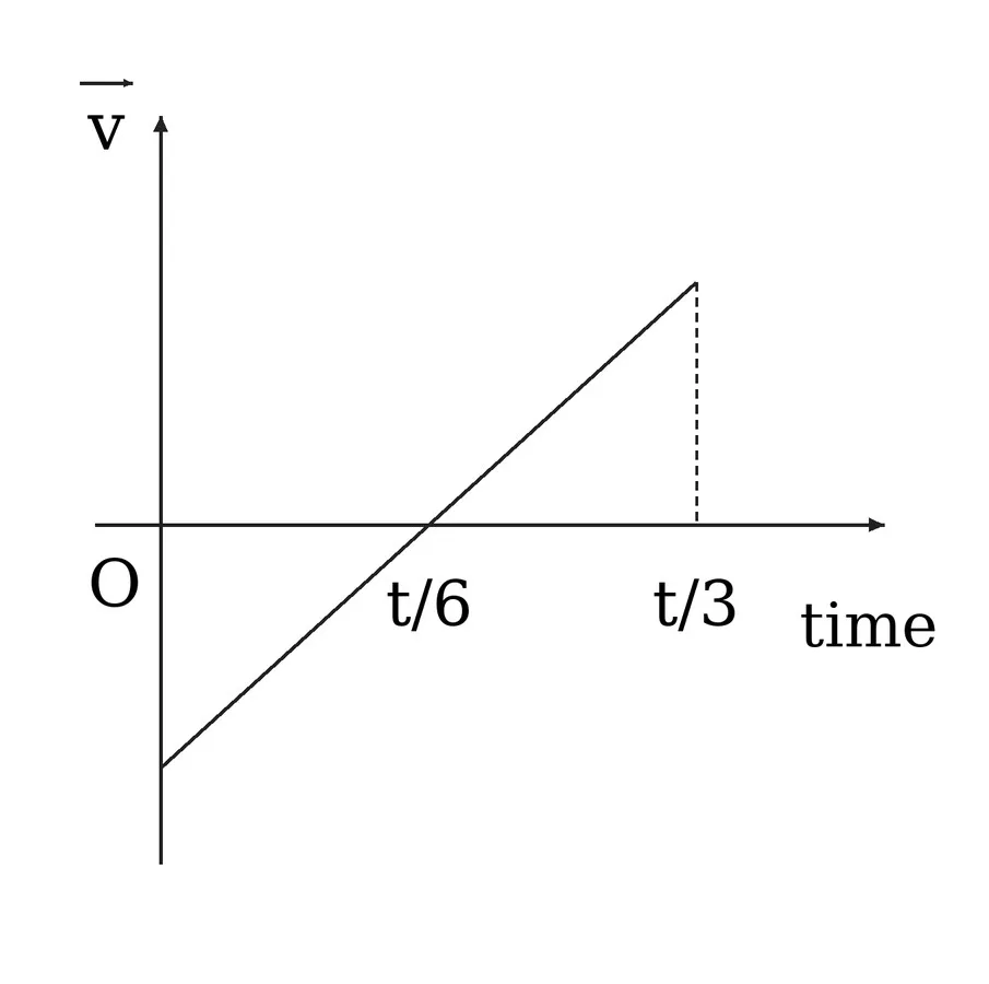 61141110-2e13-4e26-8509-032310f522b4-1791139033311.webp