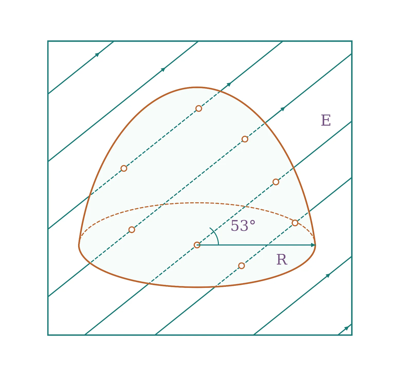 c4353ddb-5196-4f93-8589-08fd602b1ad5-1792248228494.webp
