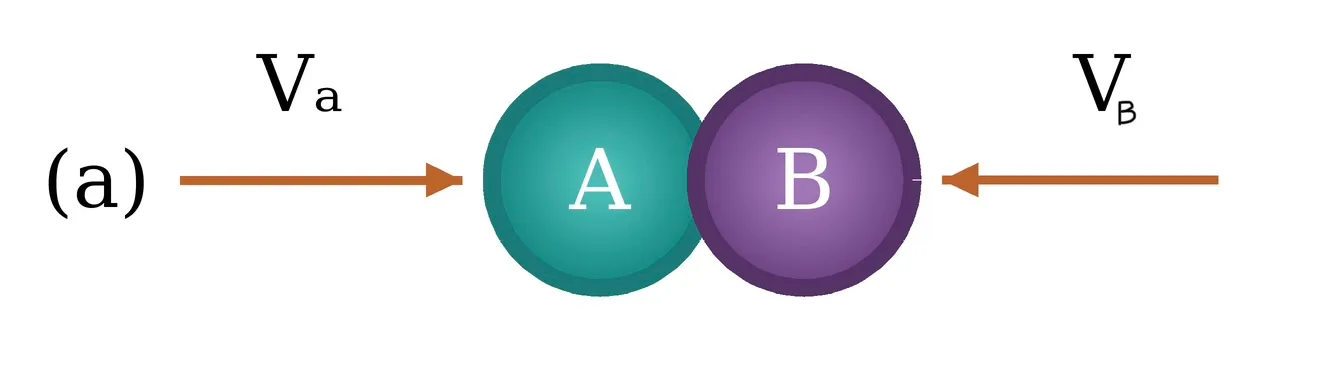 ceb29cc2-75bd-4d0f-aeb0-847316bad8f1-1791894197604.webp